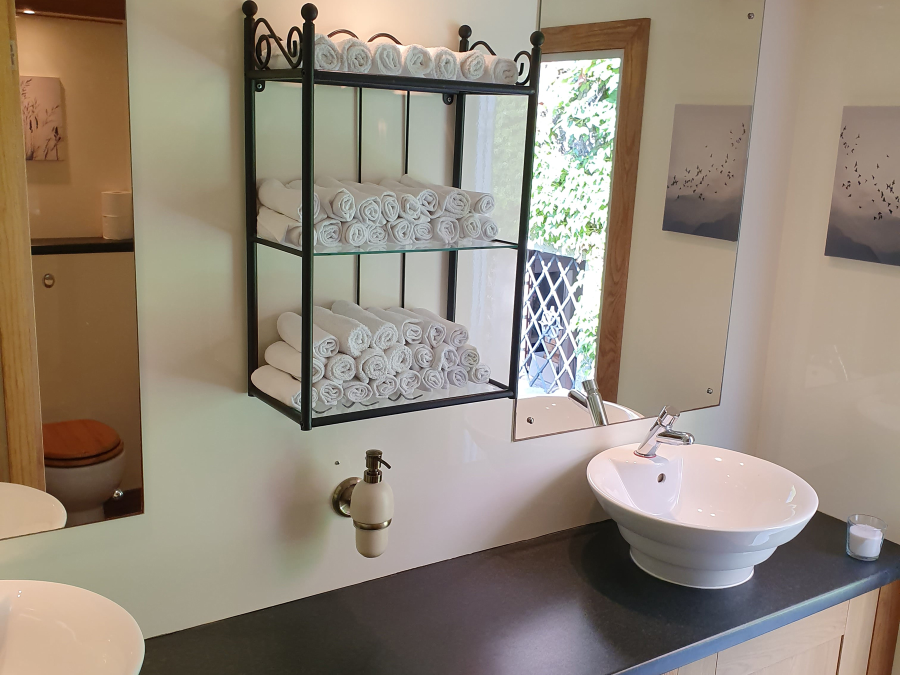 toilettes_mobiles_mariage_anniversaire_geneve_valais_suisse5